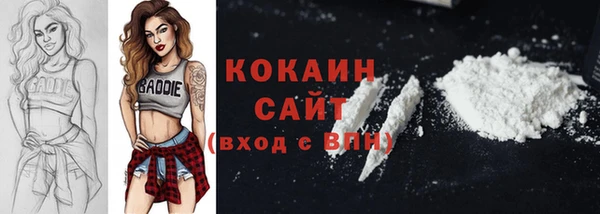 хмурый Аркадак