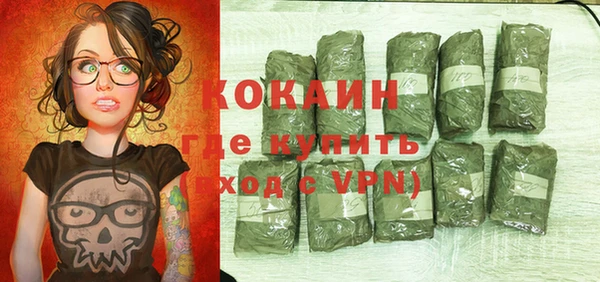 стаф Балахна